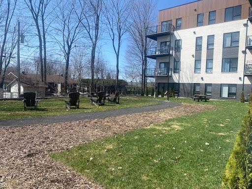 Photo from customer review